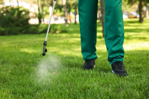 Best Pest Prevention Services  in Captains Cove, VA