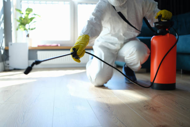Best Affordable Pest Control Services  in Captains Cove, VA