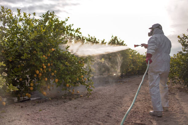 Reliable Captains Cove, VA Pest Control Solutions