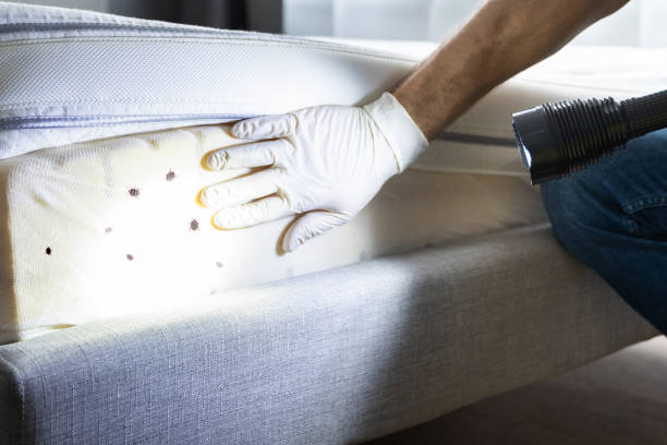 Best Bed Bug Extermination  in Captains Cove, VA
