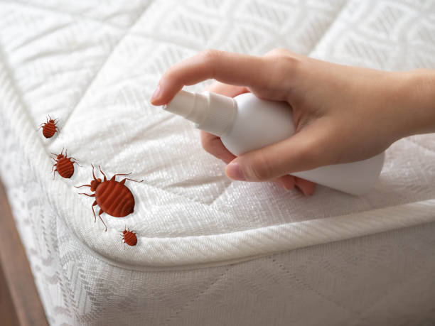 Best Affordable Pest Control Services  in Captains Cove, VA