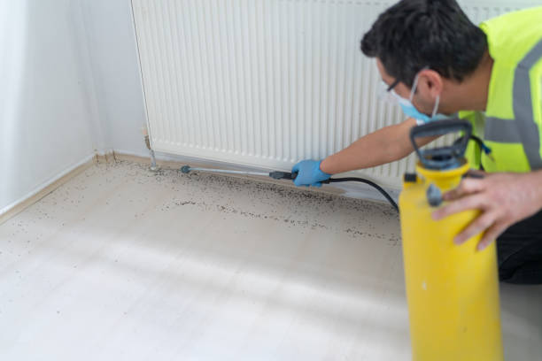 Best Commercial Pest Control Services  in Captains Cove, VA